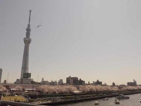 _1040240.jpg