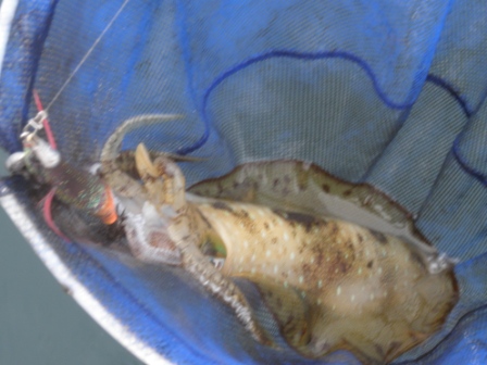 20111105-4.jpg