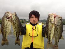 4bass.jpg