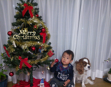 DSC_01140001.jpg