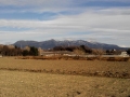 NCM_0223_convert_20131217170246.jpg