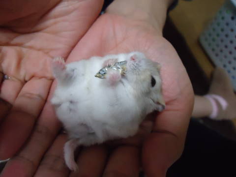DSC03043.jpg