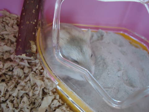 DSC03155.jpg