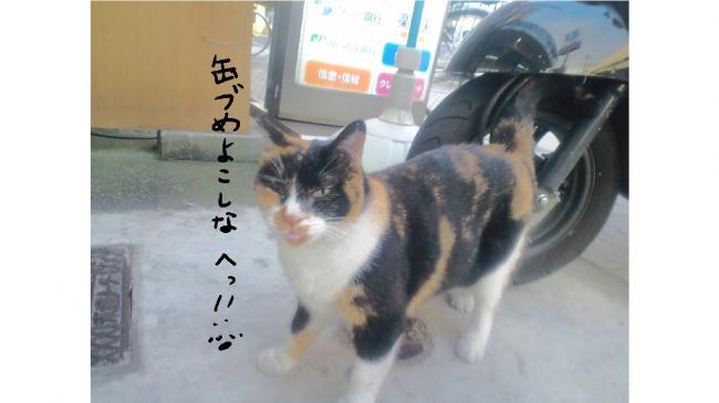0031_convert_20111015190459.jpg