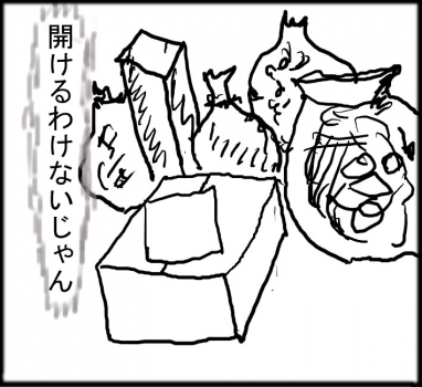 猫箱003