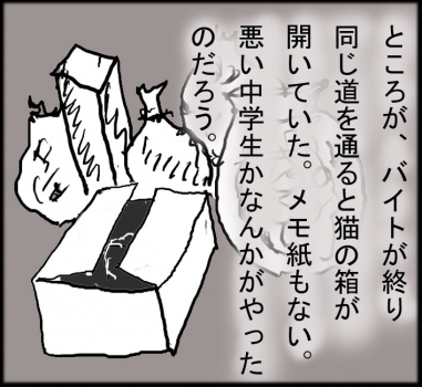 猫箱004