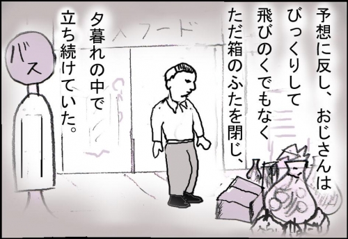 猫箱009