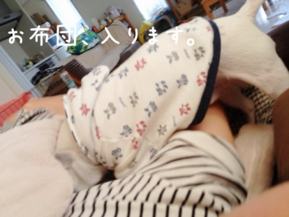 20111026_02.jpg