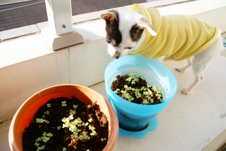 20111030_01.jpg