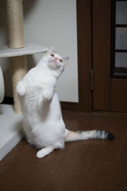 DSC02525.jpg