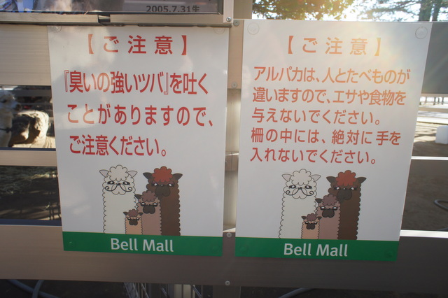 DSC06728.jpg