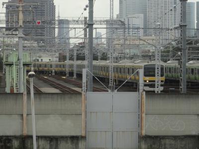 DSC04588.jpg