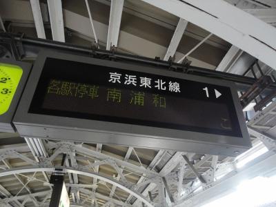 DSC04590.jpg