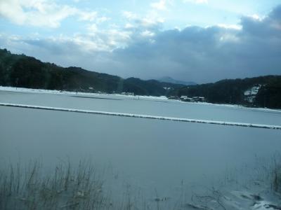 P1030220.jpg