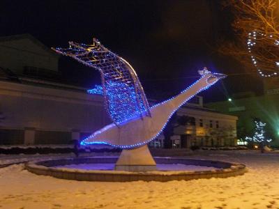 P1030231.jpg