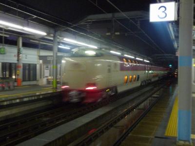 P1030233.jpg