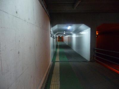 P1030243.jpg