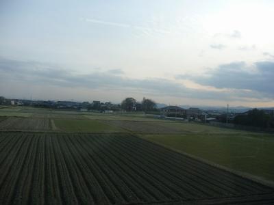 P1030310.jpg