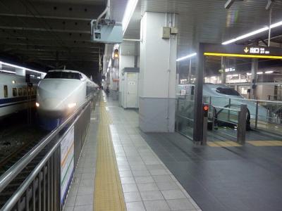 P1030325.jpg