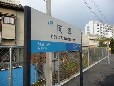 P1030340.jpg