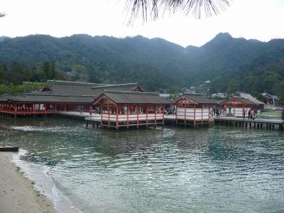 P1030374.jpg