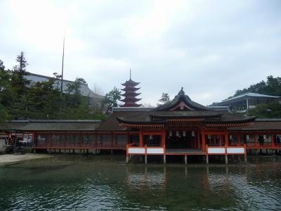 P1030376.jpg