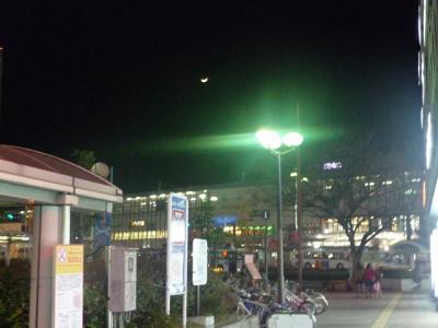 P1030419.jpg