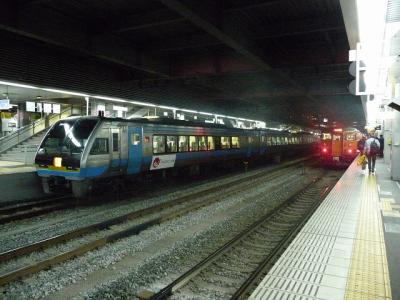 P1030421.jpg