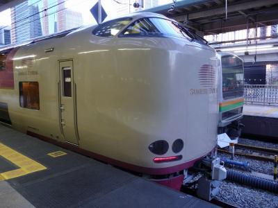 P1030437.jpg