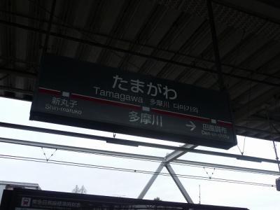 P1030675.jpg
