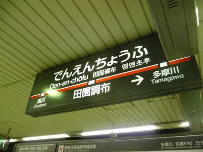 P1030684.jpg