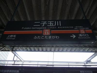 P1030685.jpg