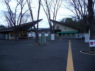 P1030722.jpg