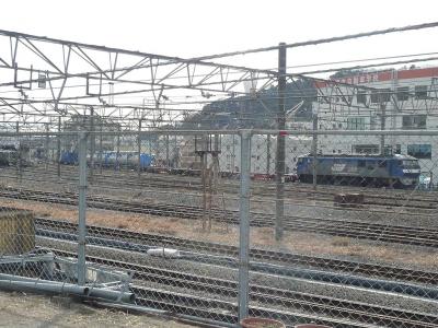 P1030746.jpg