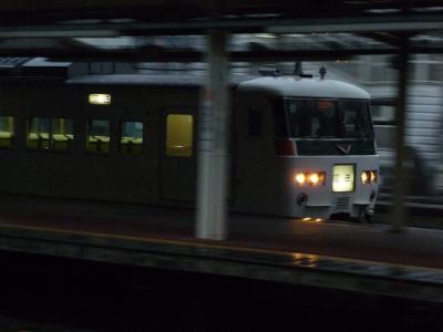 P1040307.jpg