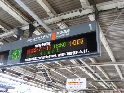 P1040350.jpg