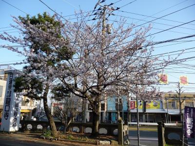 P1040528.jpg
