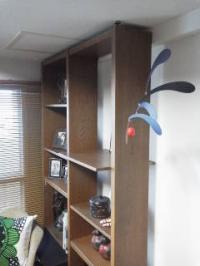 13-01-21_002.jpg