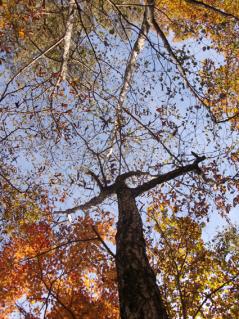 CIMG0183-2.jpg