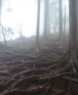 13y03m25d iwatake1