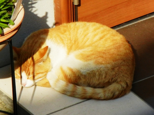 DSCN2631.jpg
