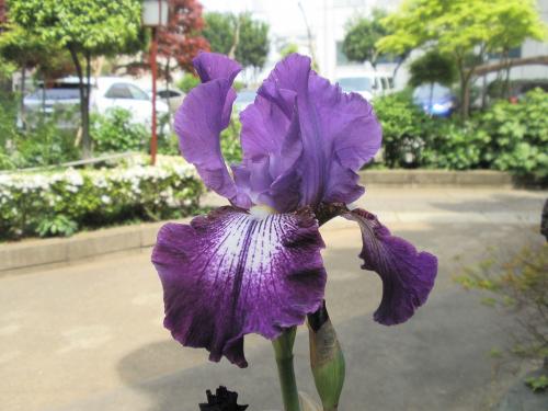 20100504 078