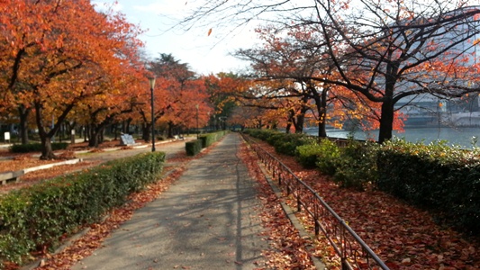 20131201_093826.jpg