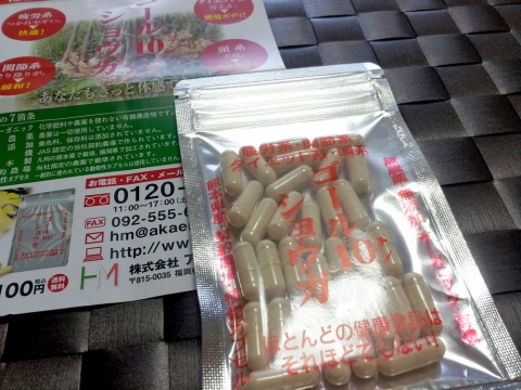 ゴール10（テン）ショウガ (2)