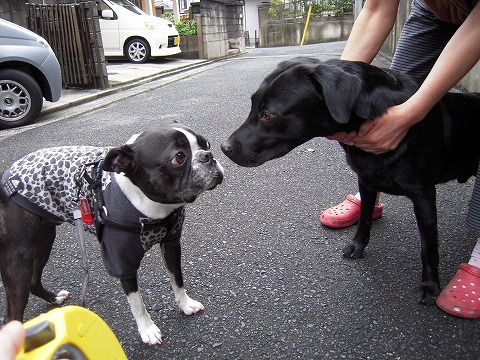 DSCN0016_20111016214514.jpg