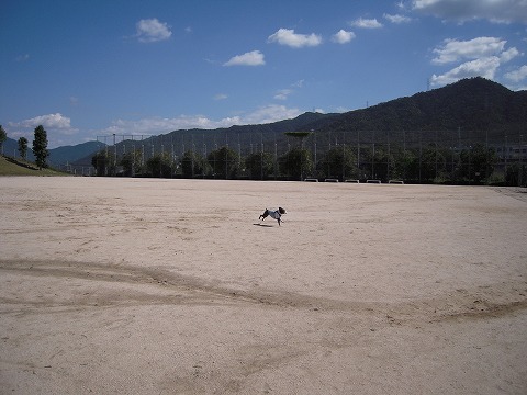 DSCN0130.jpg