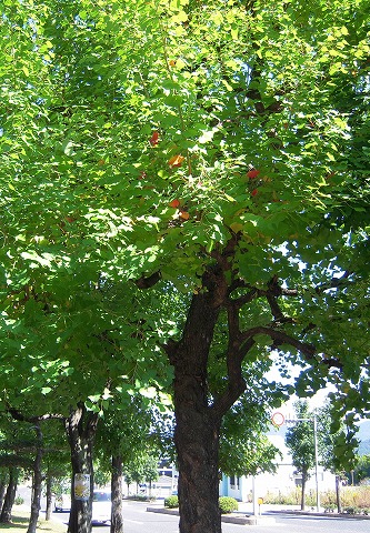 DSCN0149.jpg