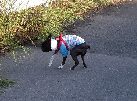 DSCN9721.jpg