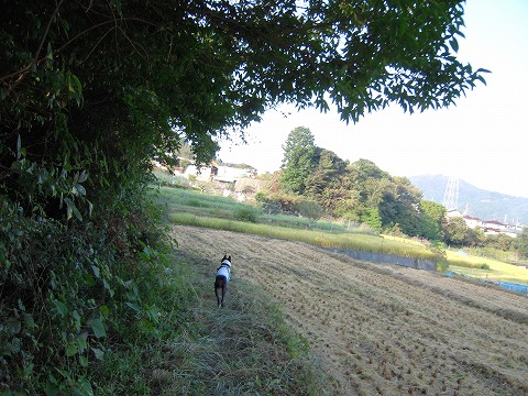 DSCN9808.jpg
