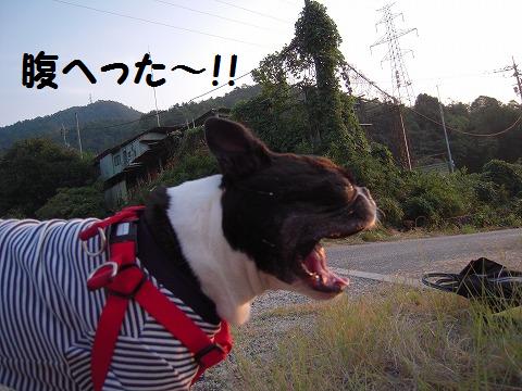 DSCN9851.jpg